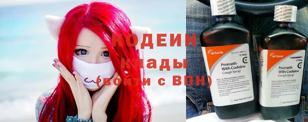 эйфоретик Няндома