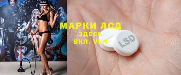 эйфоретик Няндома