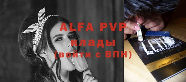 эйфоретик Няндома