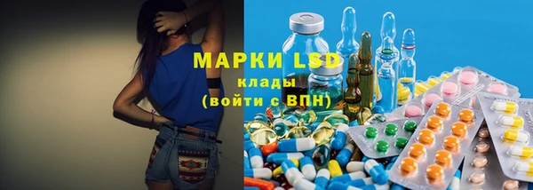 эйфоретик Няндома
