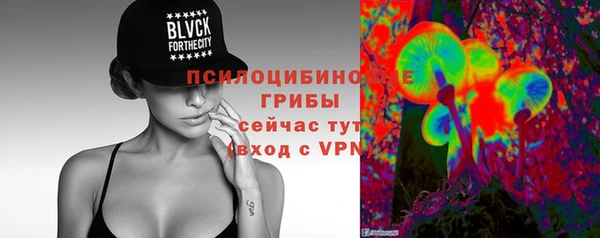 прущие грибы Новокубанск