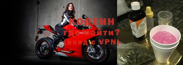 эйфоретик Няндома