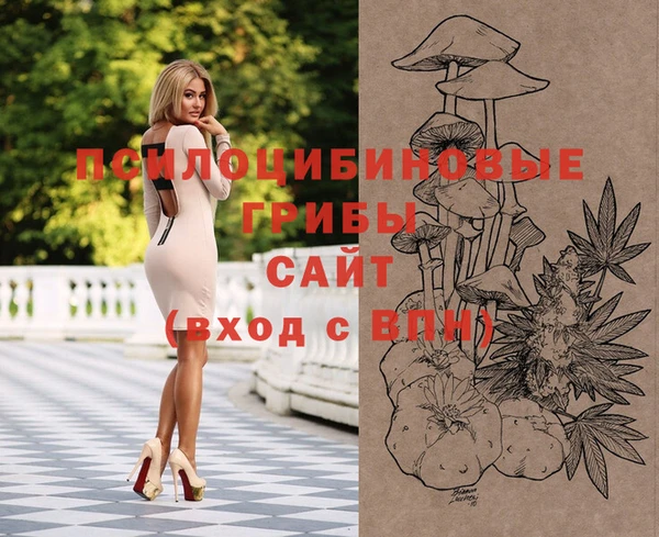эйфоретик Няндома