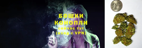ECSTASY Бикин