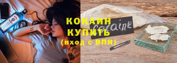 эйфоретик Няндома