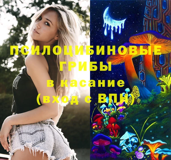 эйфоретик Няндома