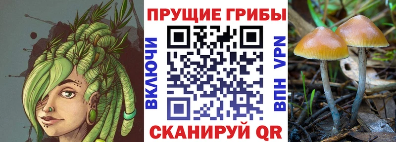 цена наркотик  Кремёнки  Псилоцибиновые грибы GOLDEN TEACHER 